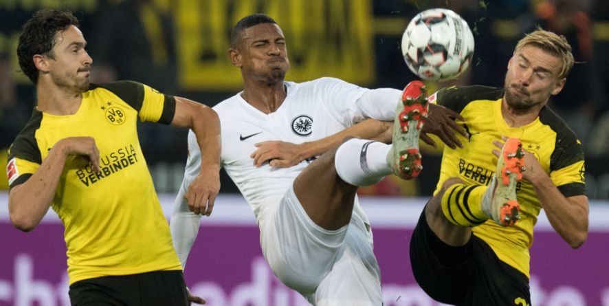 Zweikampfmonster: Diese 6 setzen sich am besten durch!